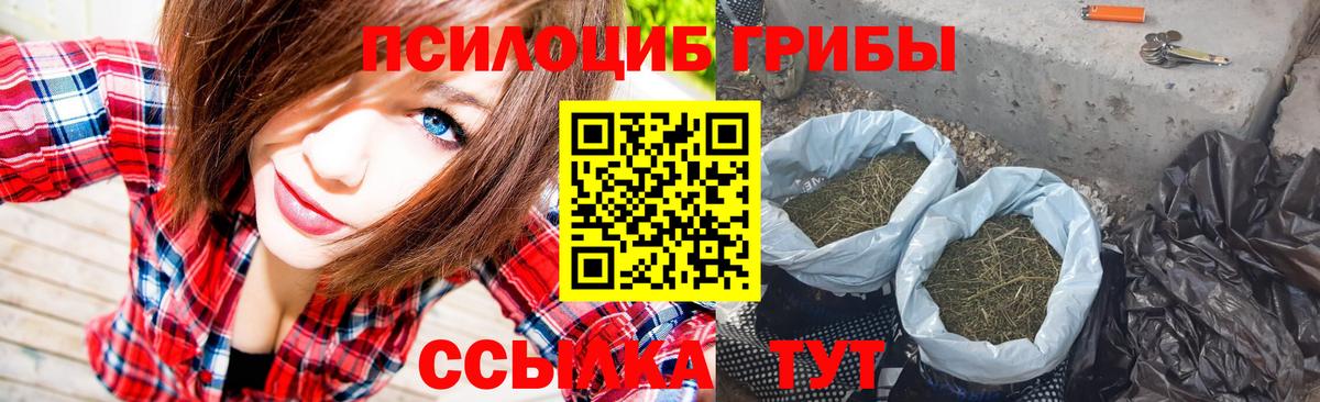 Ипатово  Галлюциногенные грибы Cubensis  Вход с VPN 